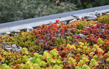 the cost of Stretcholt green roof installation